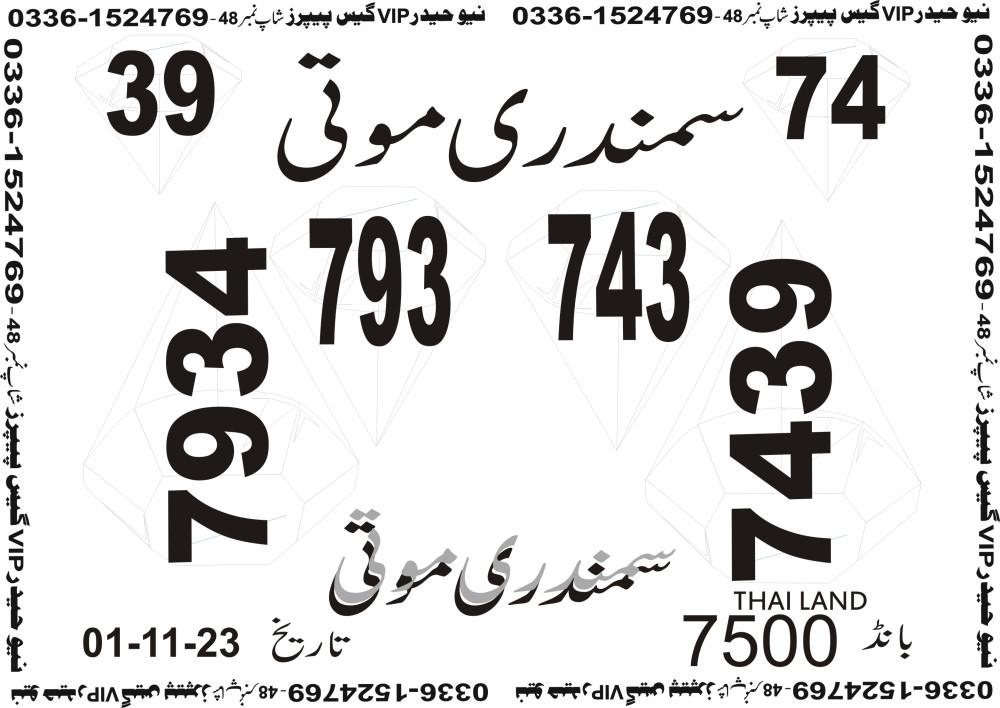New Haider Vip guess papers