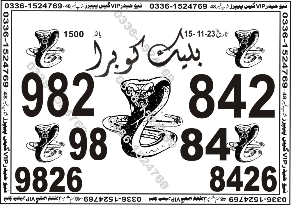 New Haider Vip guess papers