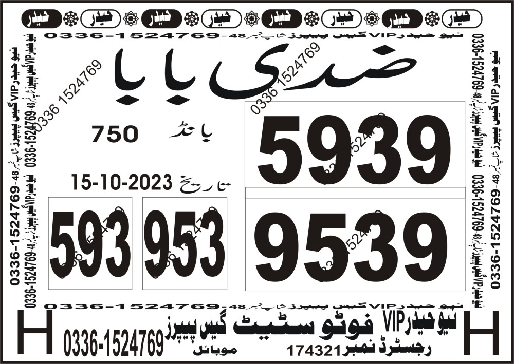 New Haider Vip guess papers