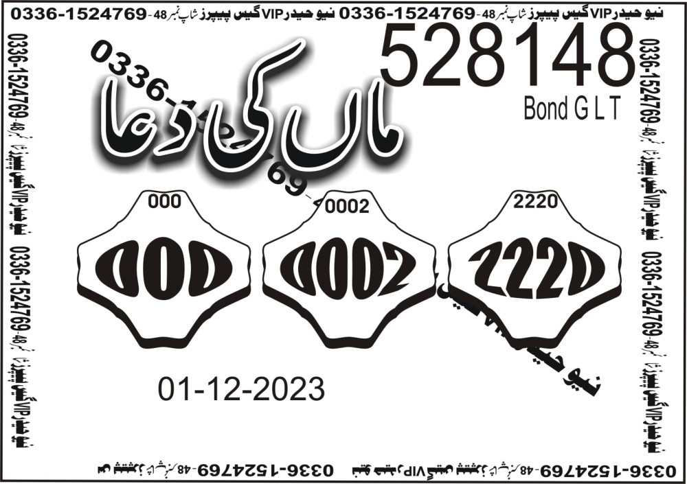 New Haider Vip guess papers