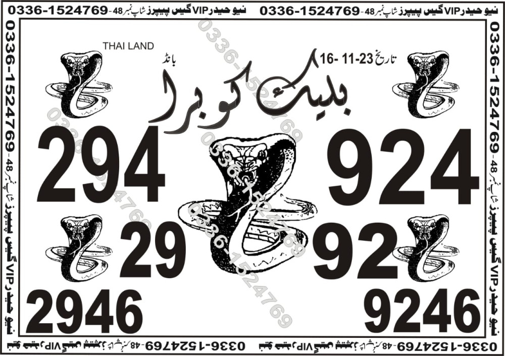 New Haider Vip guess papers