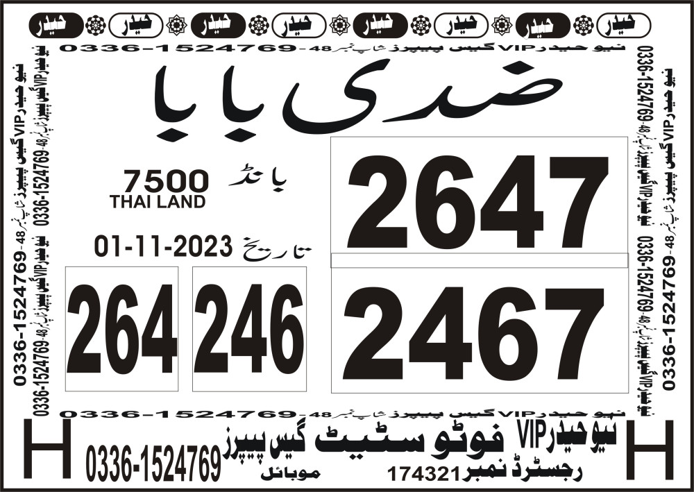 New Haider Vip guess papers