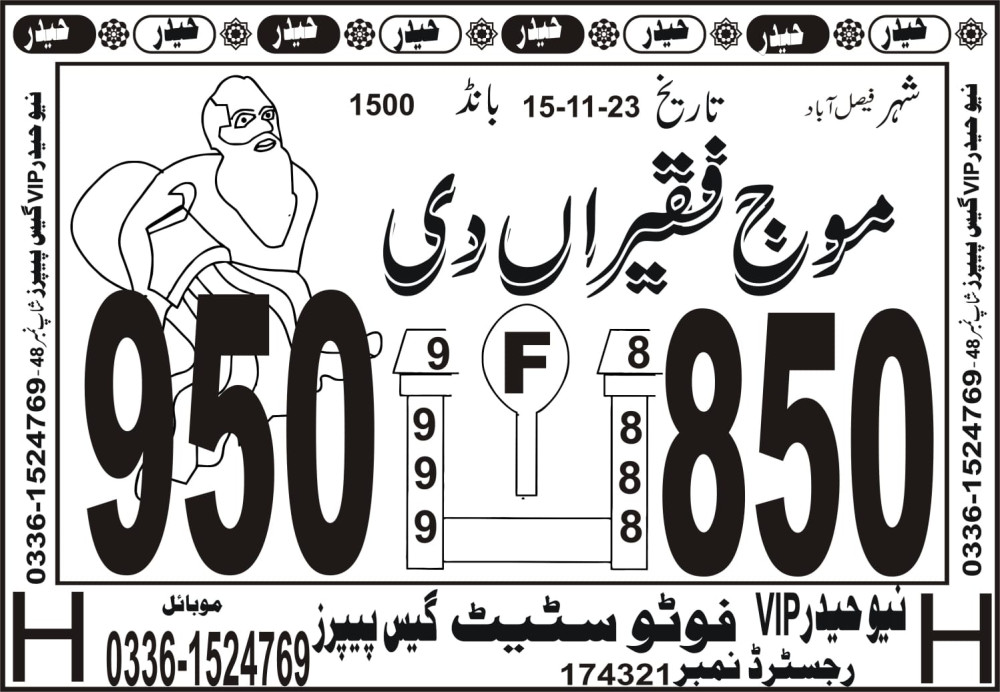 New Haider Vip guess papers