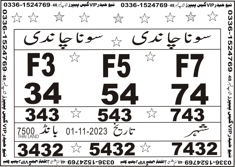 New Haider Vip guess papers