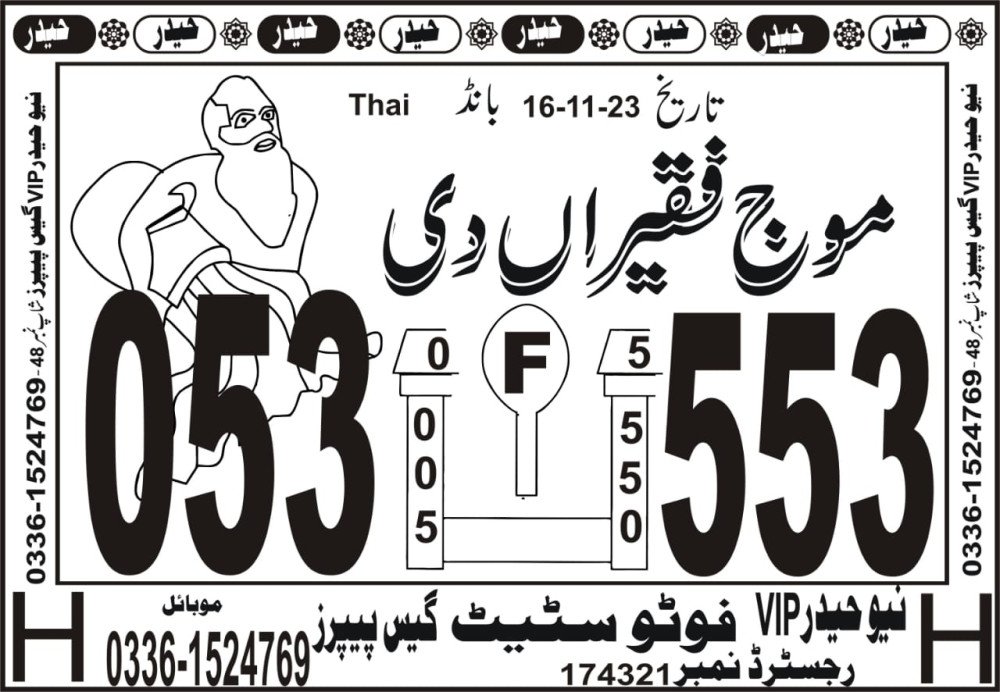 New Haider Vip guess papers