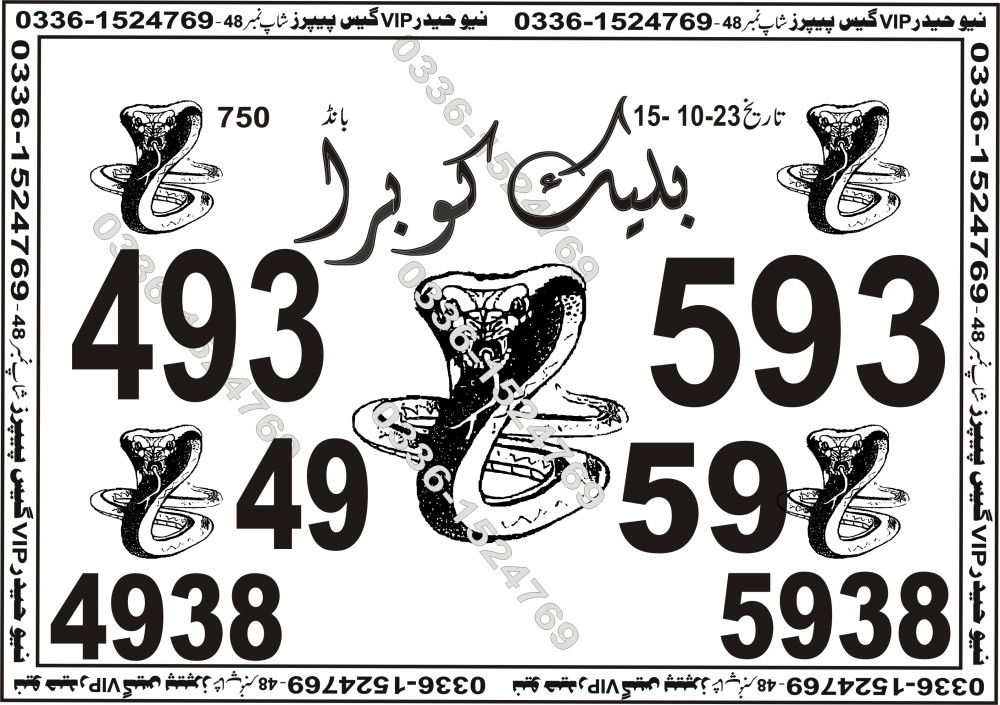 New Haider Vip guess papers